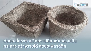 กระถางใยกล้วยฝีมือน้อง สร้างรายได้ ลดพลาสติก