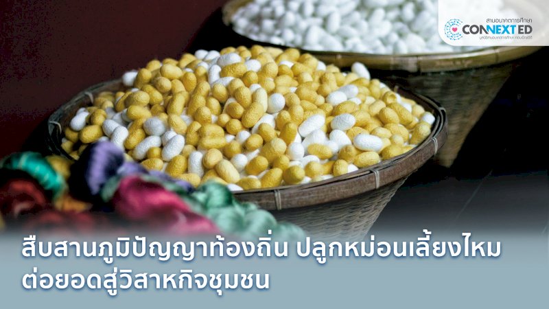 พัฒนาศูนย์การเรียนรู้หม่อนไหม