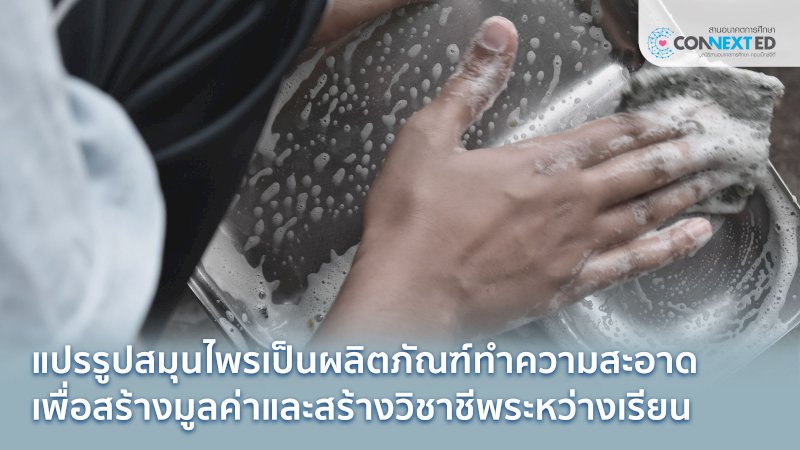 เปลี่ยนสมุนไพรเป็นผลิตภัณฑ์ทำความสะอาดสร้างอาชีพ